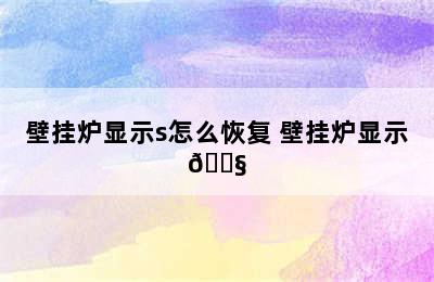 壁挂炉显示s怎么恢复 壁挂炉显示🔧